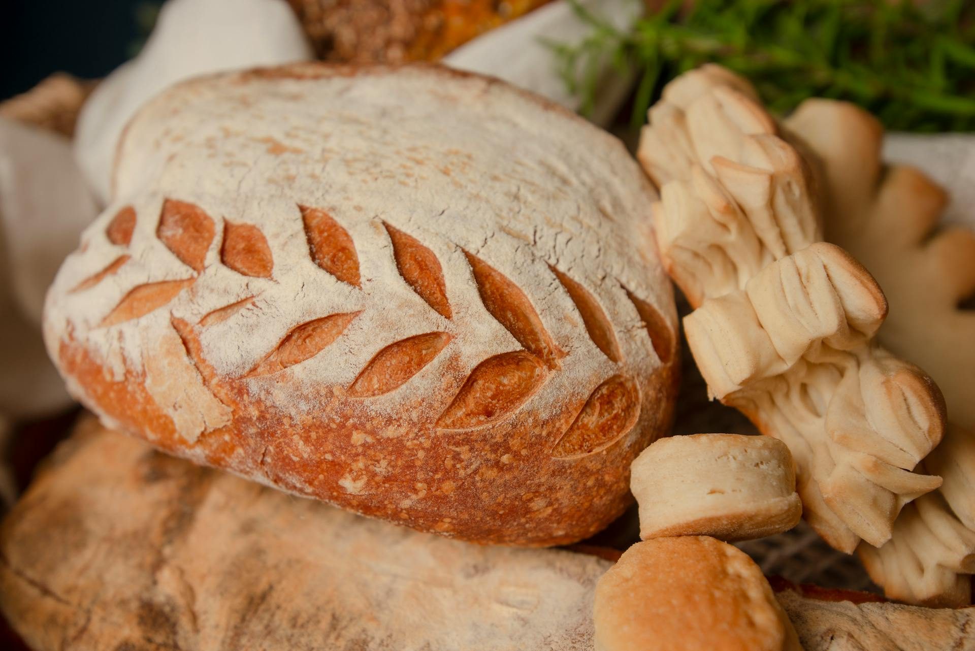 Focaccia i bradepande